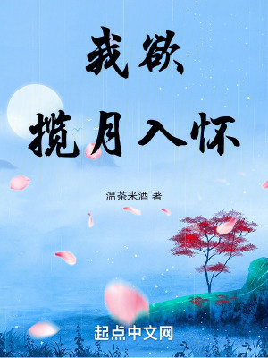 我欲九天揽月,奈何