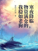 寒夜降临,物资满仓的我稳如老狗